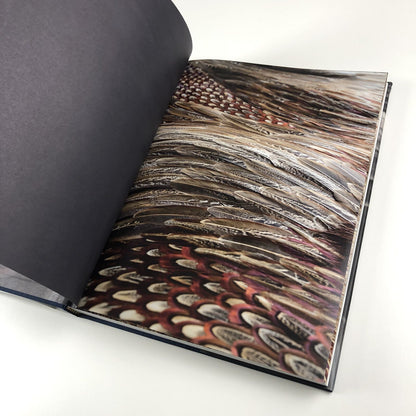 Kate MccGwire | Edited by Mark Sanders | Anomie Publishing, 2021