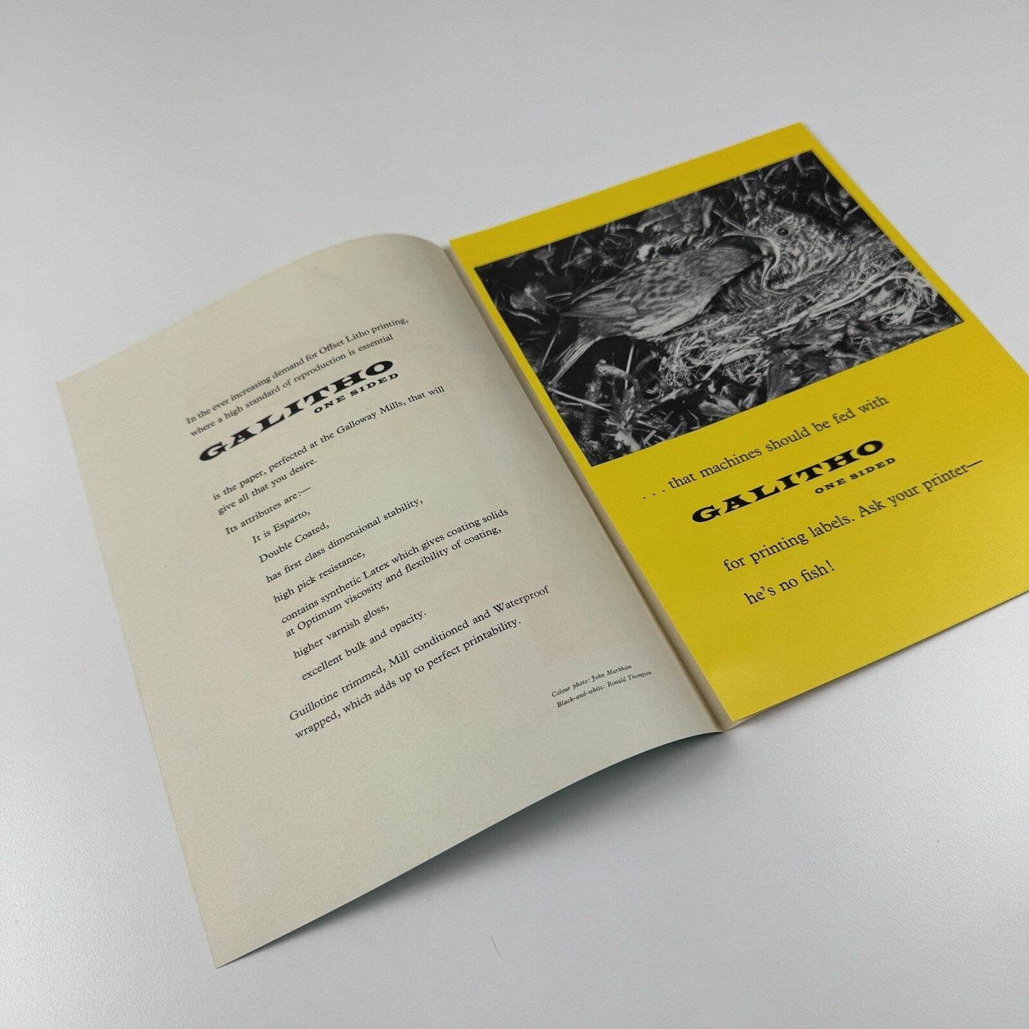 Promotional paper leaflet for Galitho | John Galloway & Co. Undated