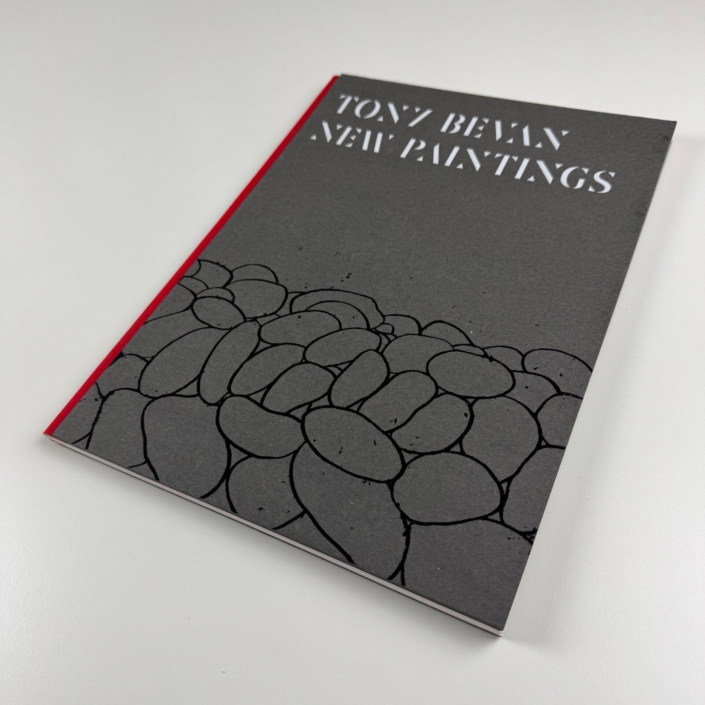 Tony Bevan. New Paintings | Ben Brown Fine Arts, 2008