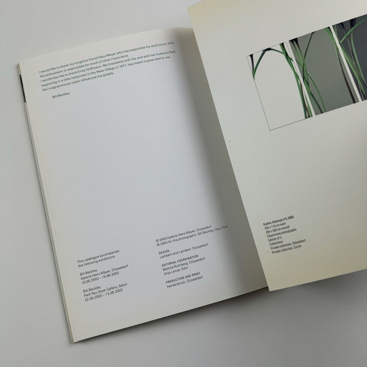 Bill Beckley | Galerie Hans Meyer exhibition catalogue, 2003