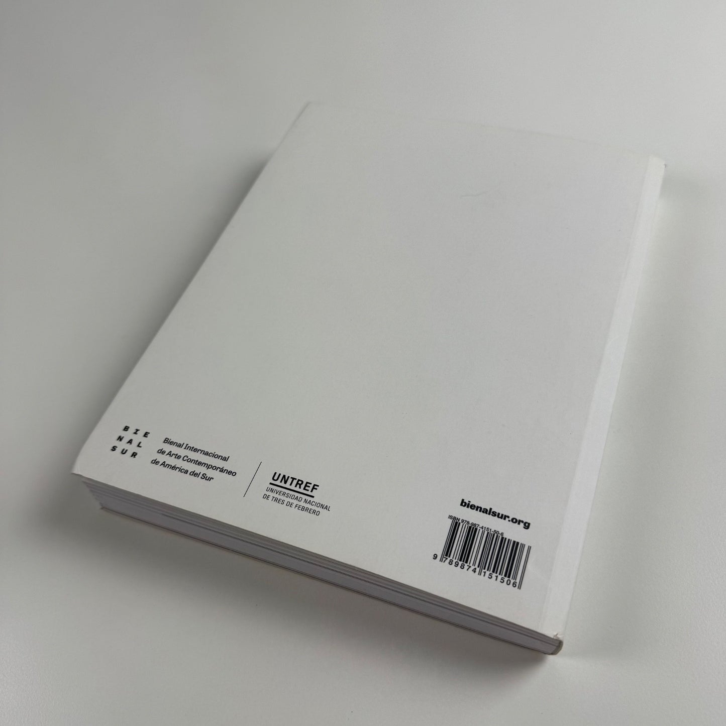 Bienalsur 2017. Universidad Nacional de tres de Febrero, 2018