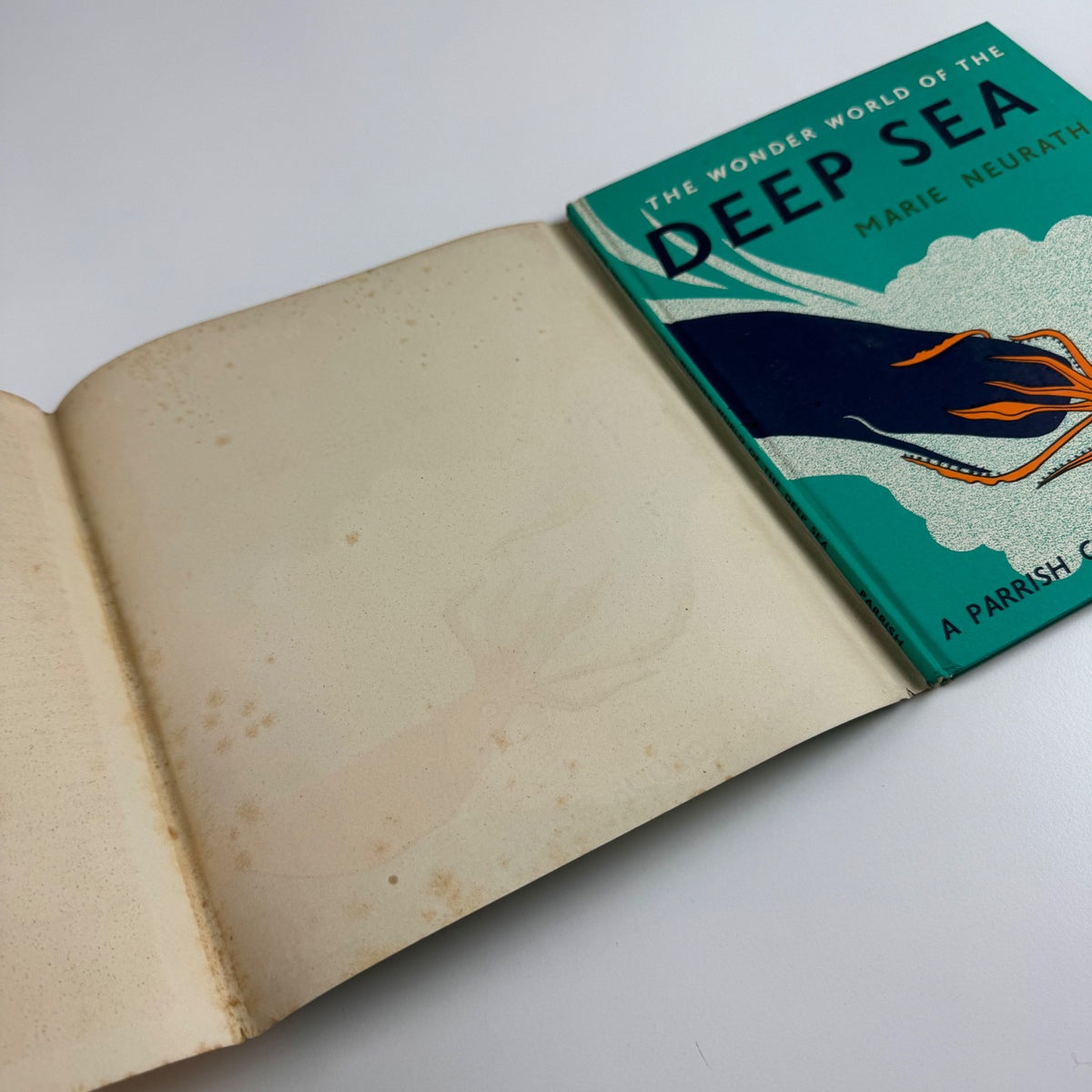 The Wonder World of the Deep Sea by Marie Neurath | Max Parrish, 1955 Isotype Institute