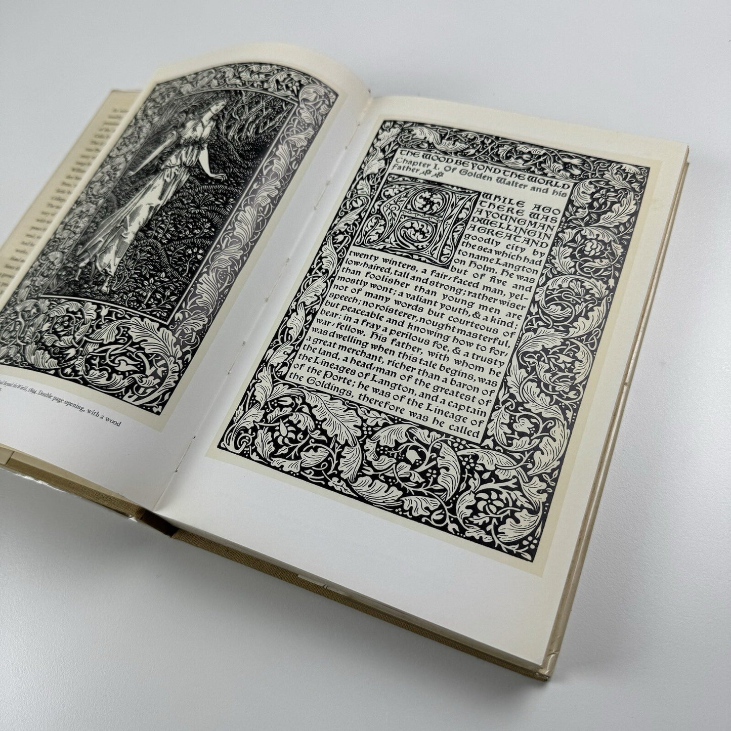 The Private Presses by Colin Franklin | Studio Vista, 1970 reprinted edition