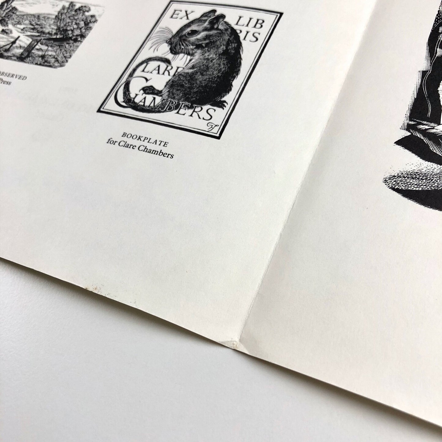 Shall we join the Ladies?’ Wood engravings by women artists | Studio One Gallery leaflet, Oxford, 1979