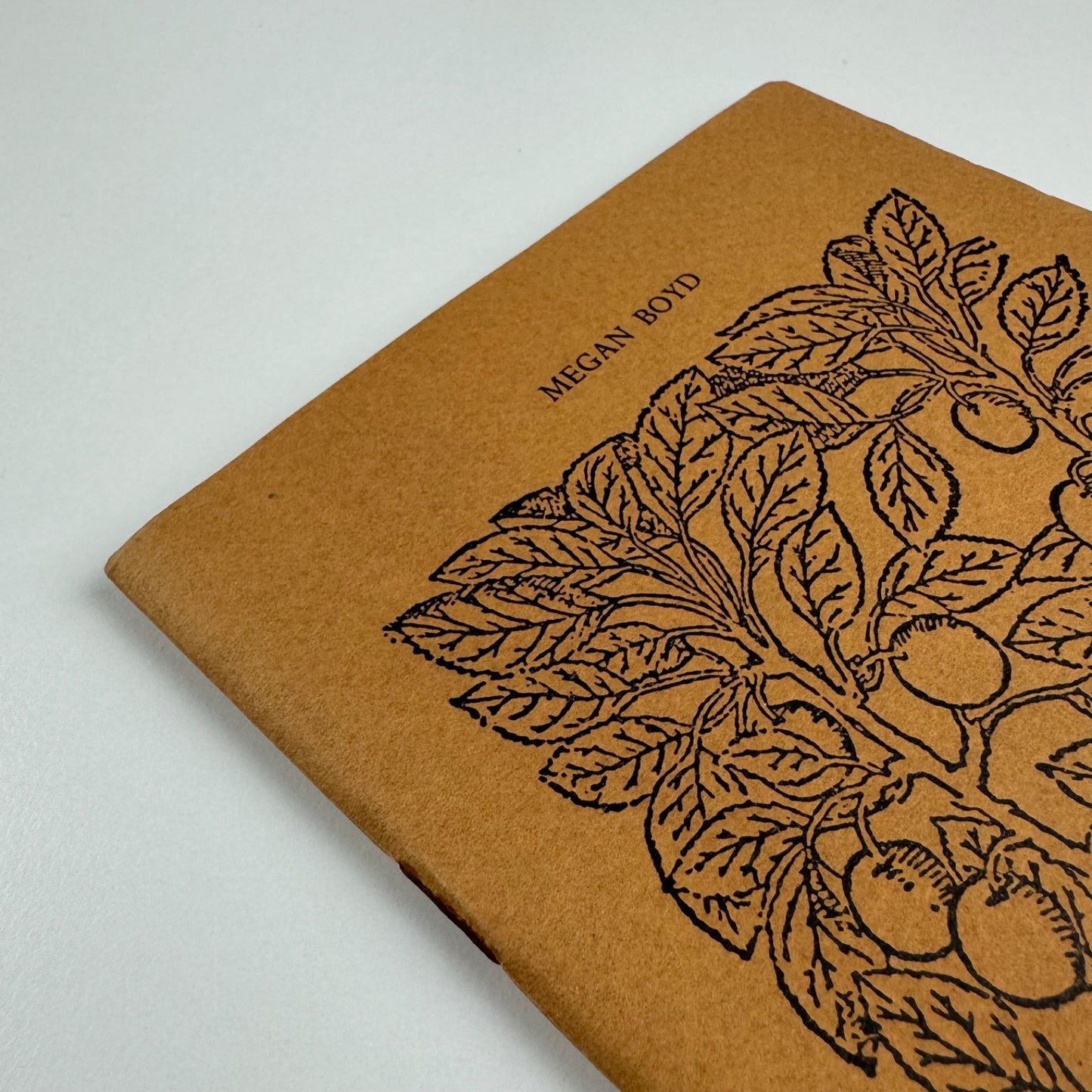 Poems Return to Spring & Gathering to Deep Water by Scott Chaskey | Megan Boyd | David Stevens printer, Quay Books, 1988