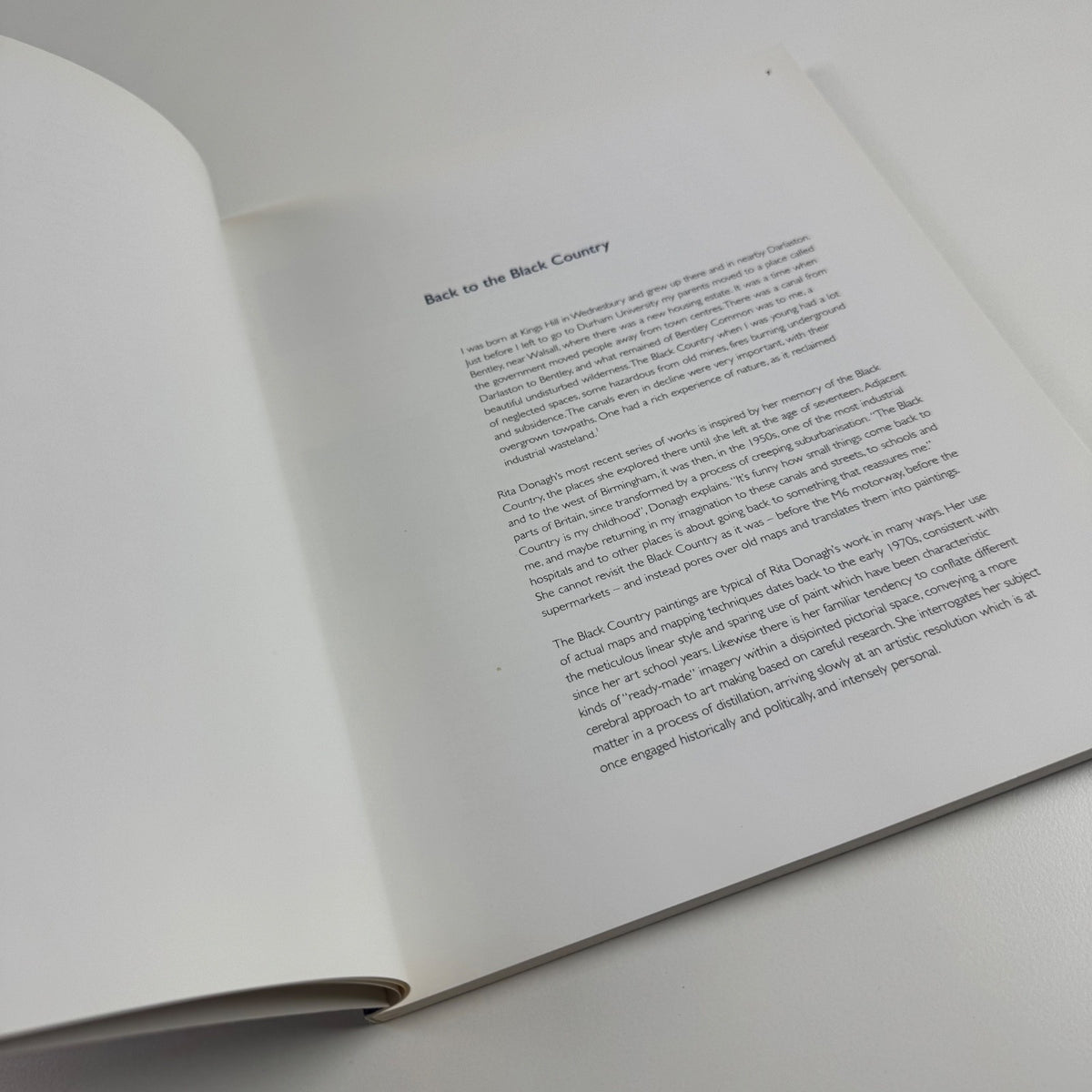 Rita Donagh | Ikon Gallery, Birmingham, 2005