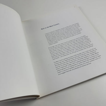 Rita Donagh | Ikon Gallery, Birmingham, 2005