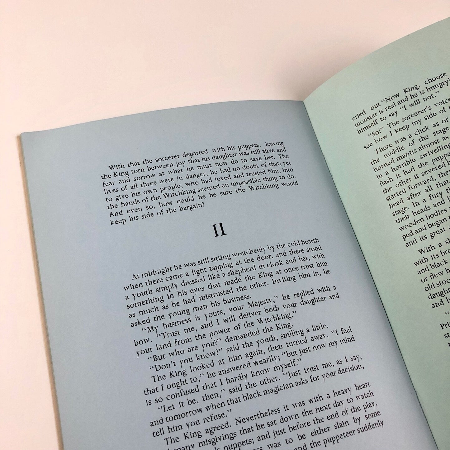 The Prince & The Puppeteer. A fairy story by J. C. Bretherton | R. Shirley Smith