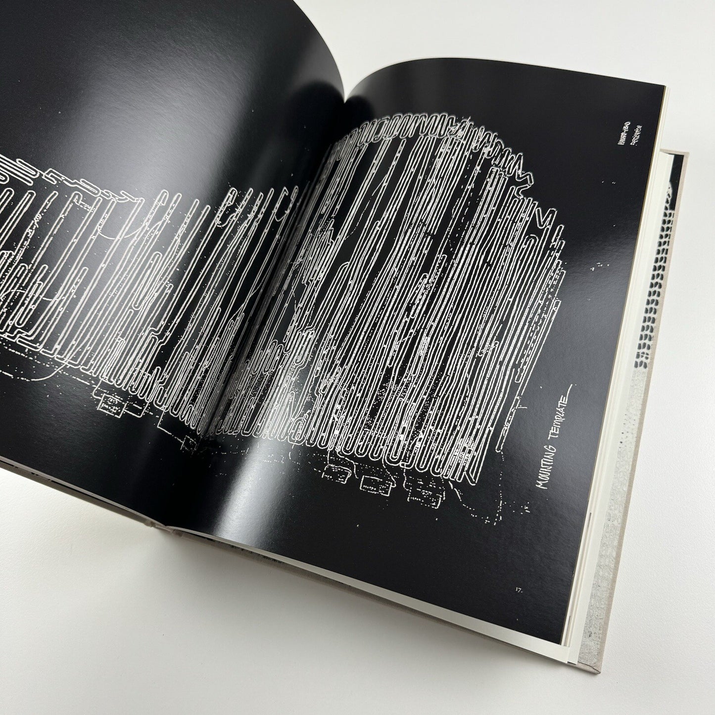 Håvard Homstvedt: You Will Hardly Know | Galleri Riis, 2008 catalogue