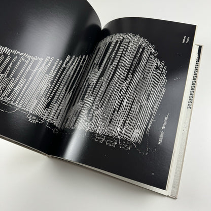 Håvard Homstvedt: You Will Hardly Know | Galleri Riis, 2008 catalogue