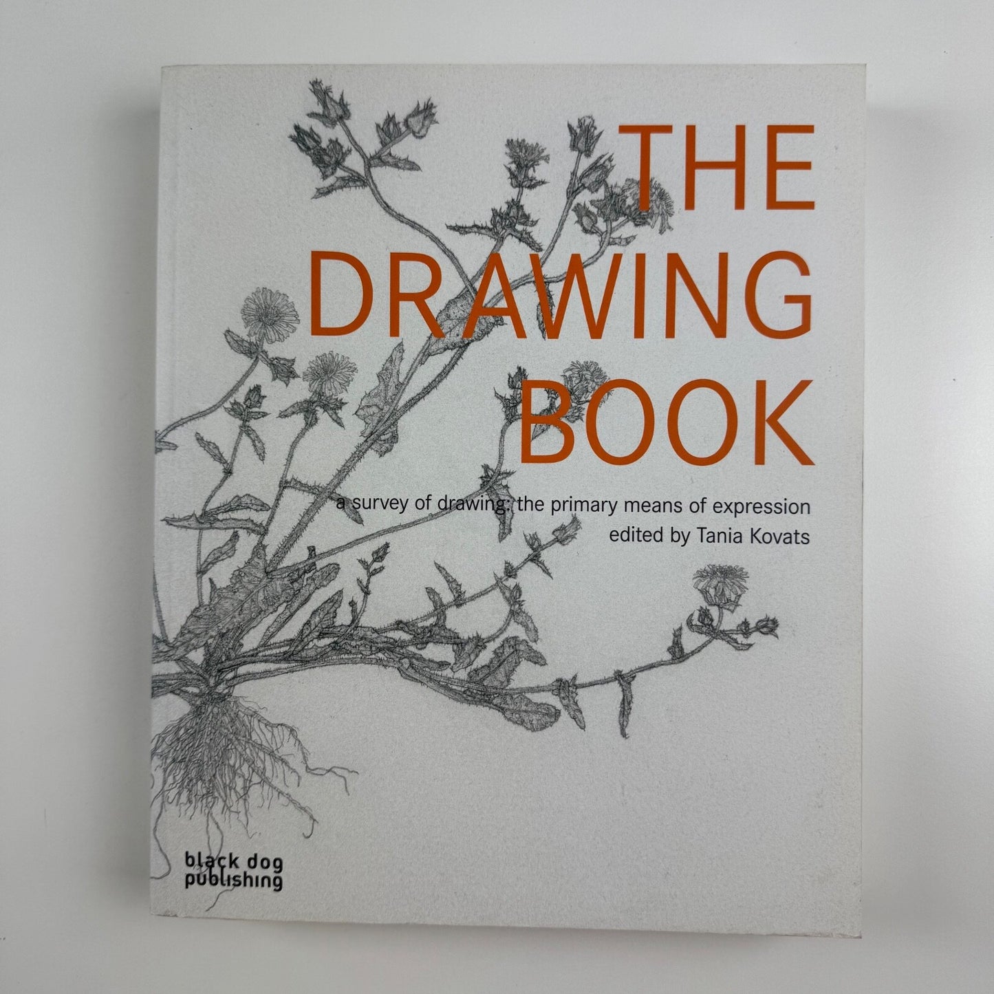 The Drawing Book. A survey of the primary means of expression ed Tania Kovats