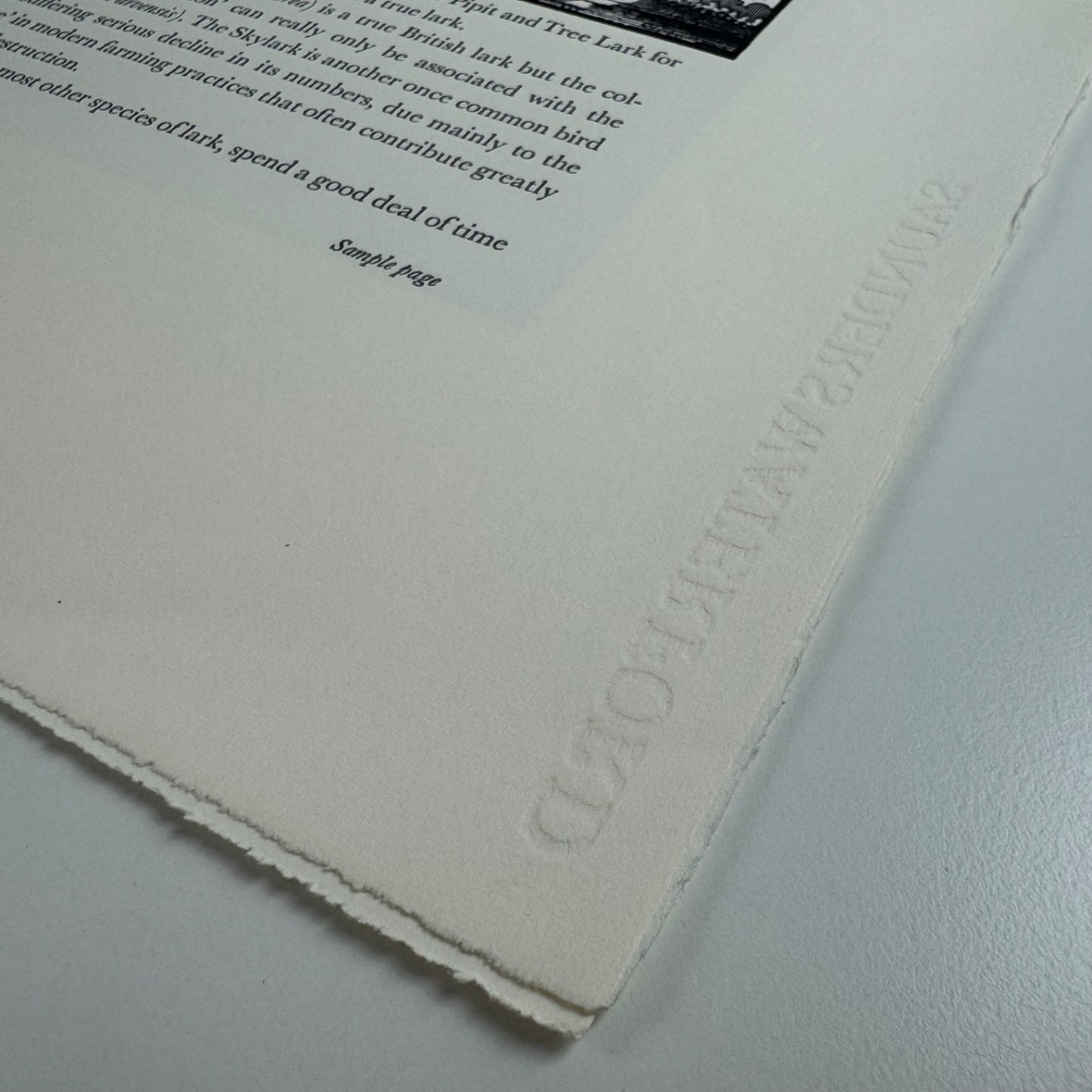 Prospectus for Exaltation of Larks | Of a Feather by Colin See-Paynton | Gregynog Press, 2008