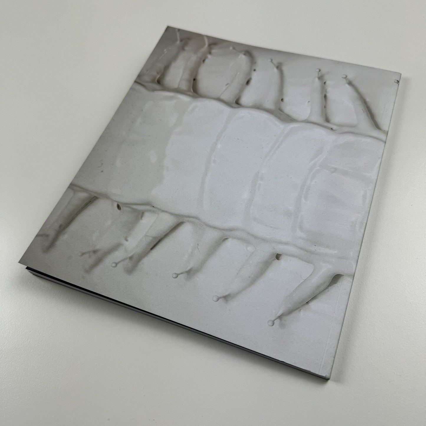 Alex Hoda. Opening up the Inside | Gantry Projects, London, 2009 catalogue