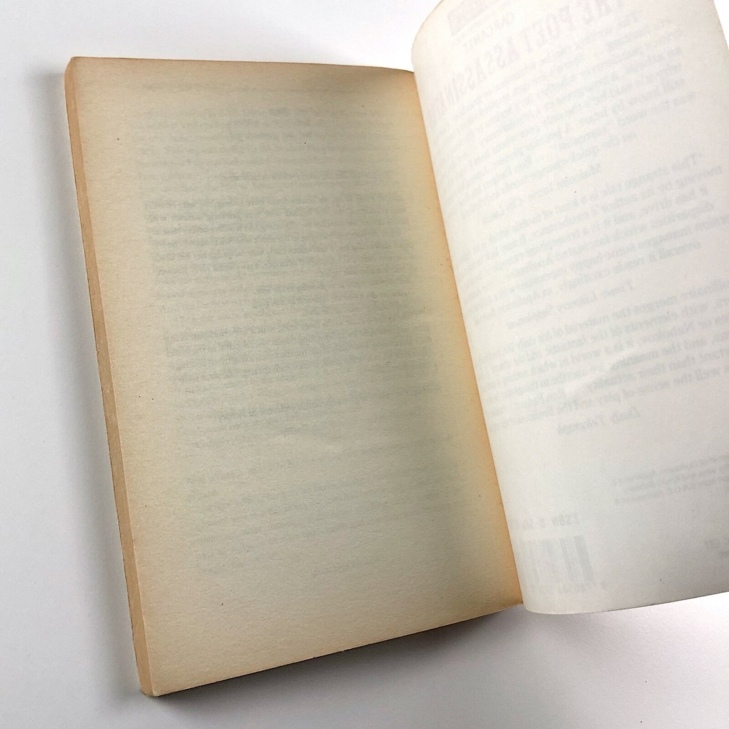 Apollinaire – The Poet Assassinated and other stories | Grafton Books, 1988