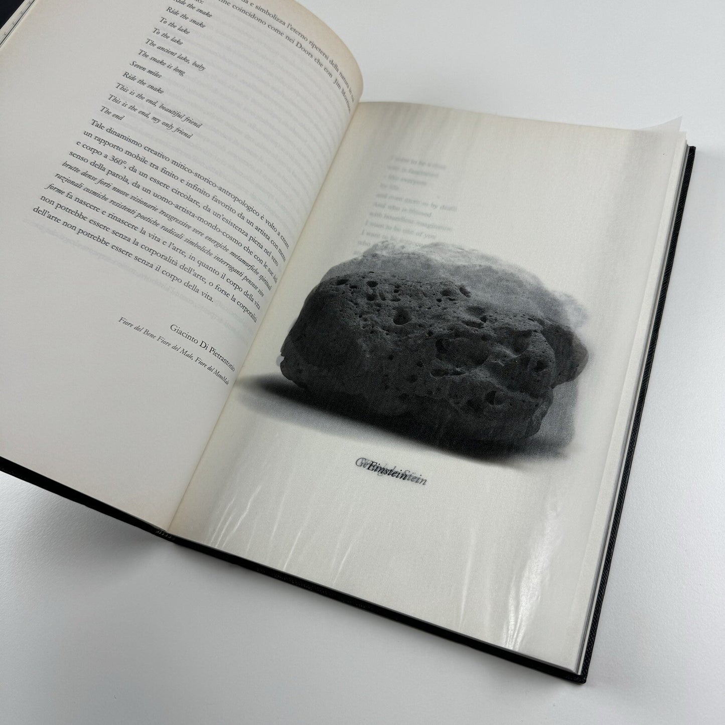 Antropologia di un planeta Jan Fabre by Giacinto Di Pieterantonio 2007 | Signed