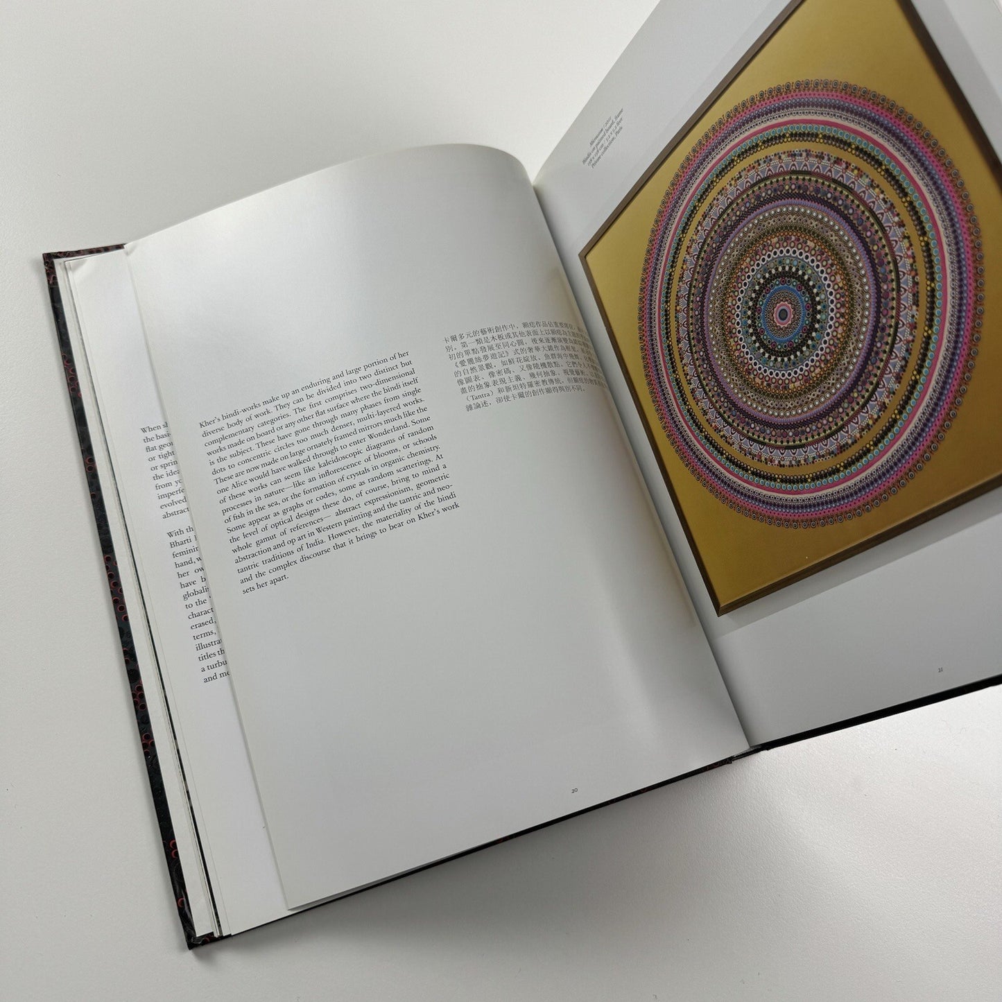 Bharti Kher – Blind, eyes open | Galerie Perrotin 2012 catalogue