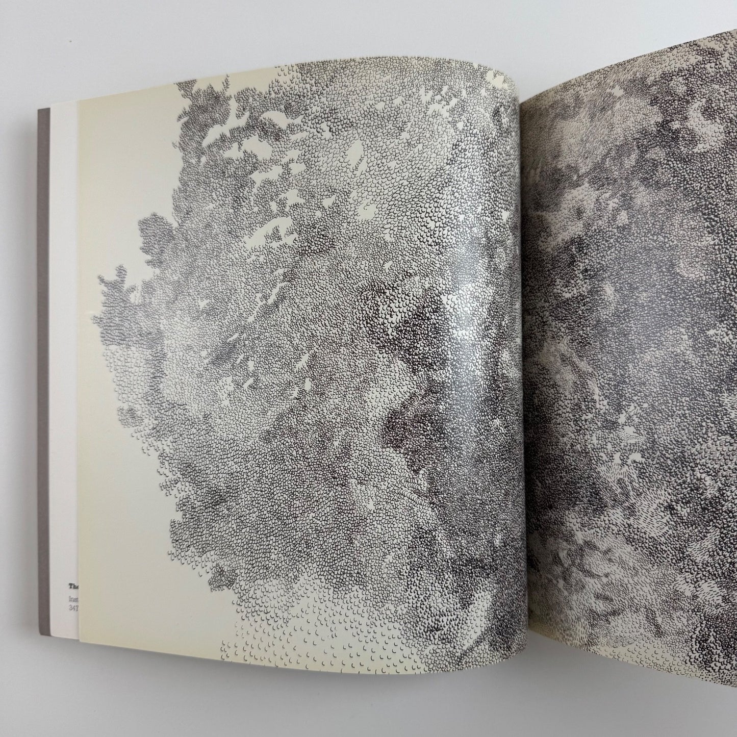 May Cornet | Quarry | Thomas Gibson Fine Art, 2010