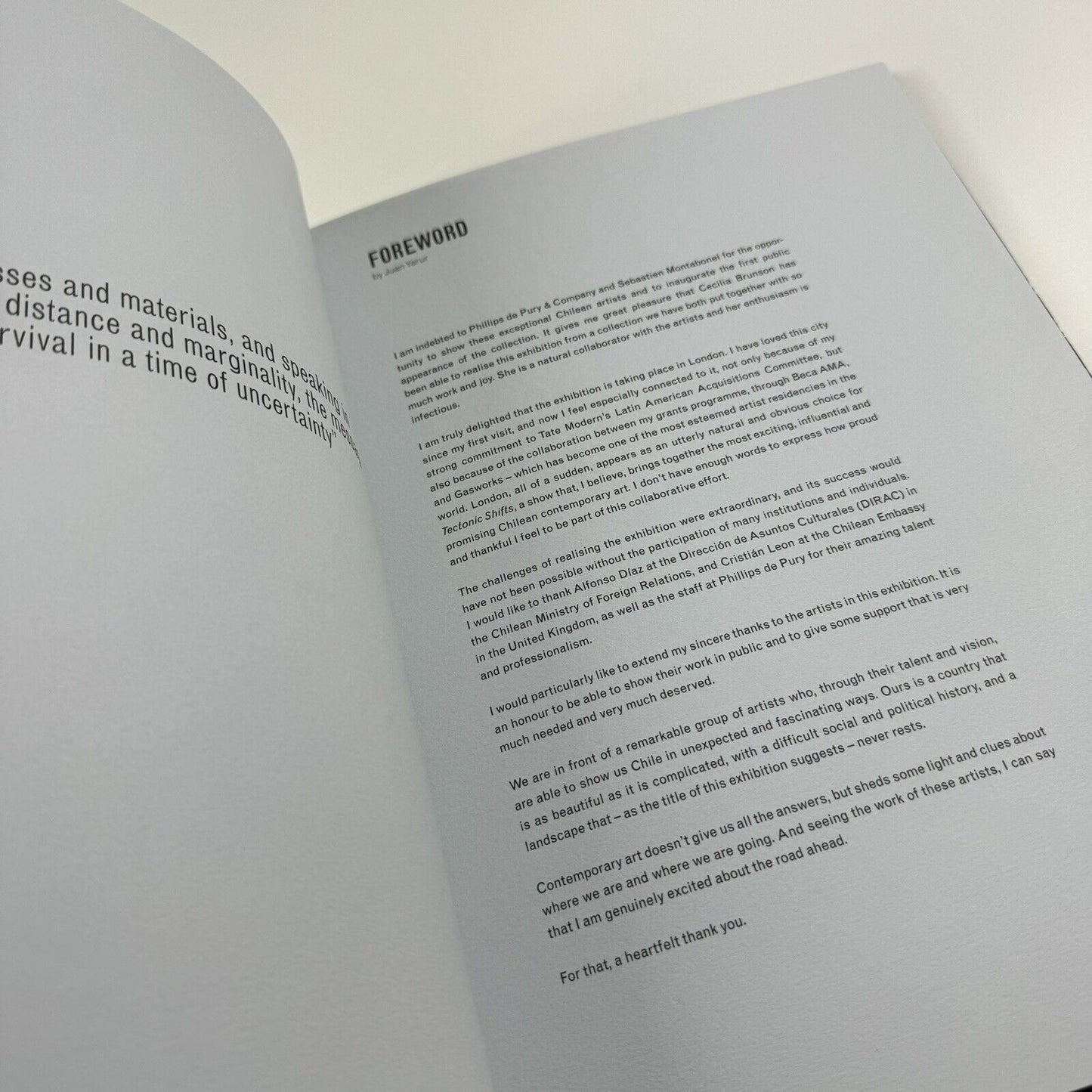 Tectonic Shift. Contemporary Art from Chile from the Juan Uarur Collection | Phillips de Pury & Co catalogue, 2010