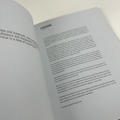 Tectonic Shift. Contemporary Art from Chile from the Juan Uarur Collection | Phillips de Pury & Co catalogue, 2010