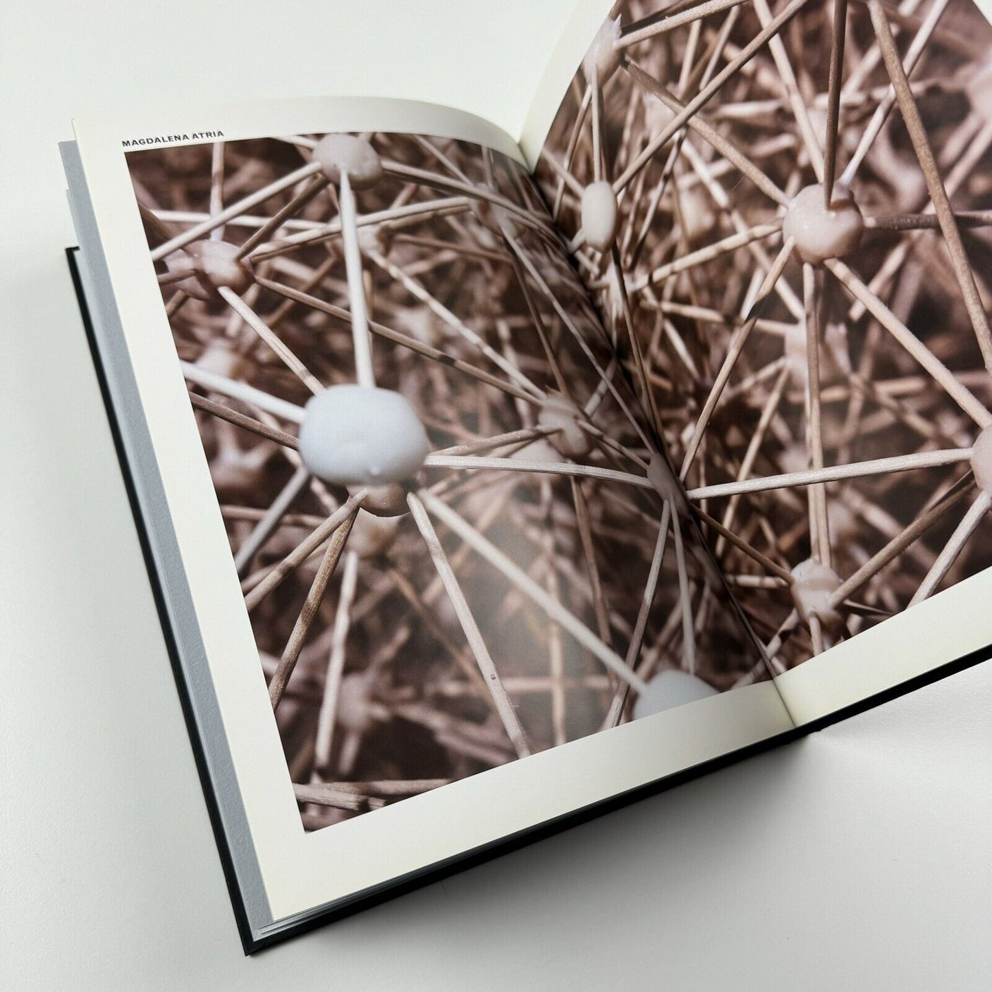 Tectonic Shift. Contemporary Art from Chile from the Juan Uarur Collection | Phillips de Pury & Co catalogue, 2010