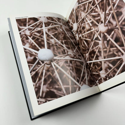 Tectonic Shift. Contemporary Art from Chile from the Juan Uarur Collection | Phillips de Pury & Co catalogue, 2010