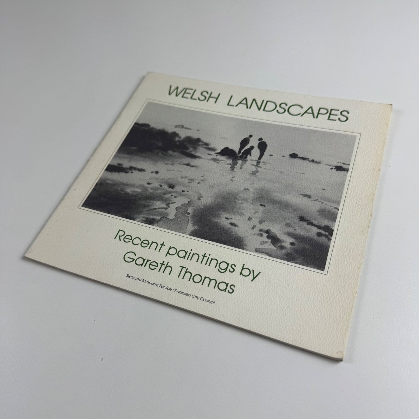 Welsh Landscapes. Recent paintings by Gareth Thomas | Glynn Vivian Art Gallery
