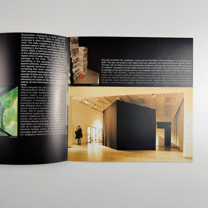 51st International Venice Biennale Iranian Institute for Promotion of Visual Art