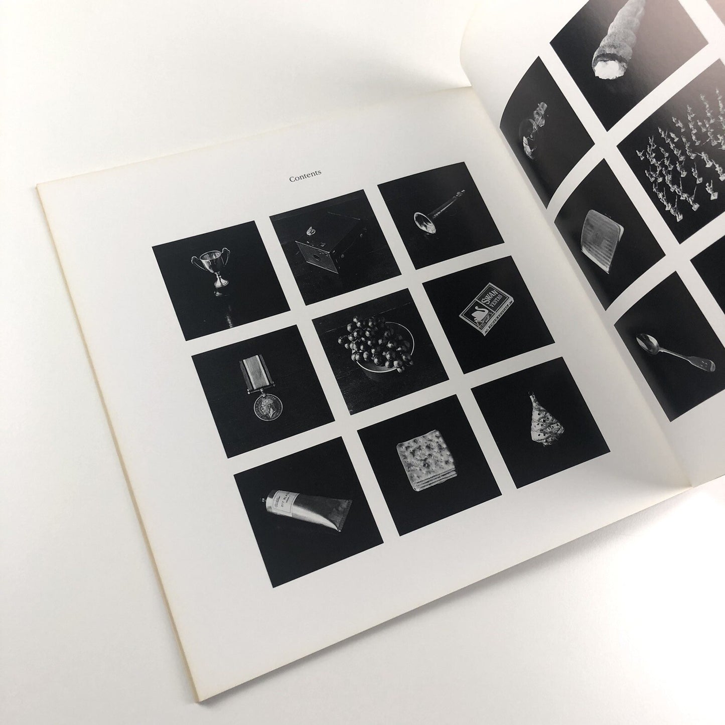 Cornelia Parker: A catalogue of disasters | Edward Woodman, Book Works 1993