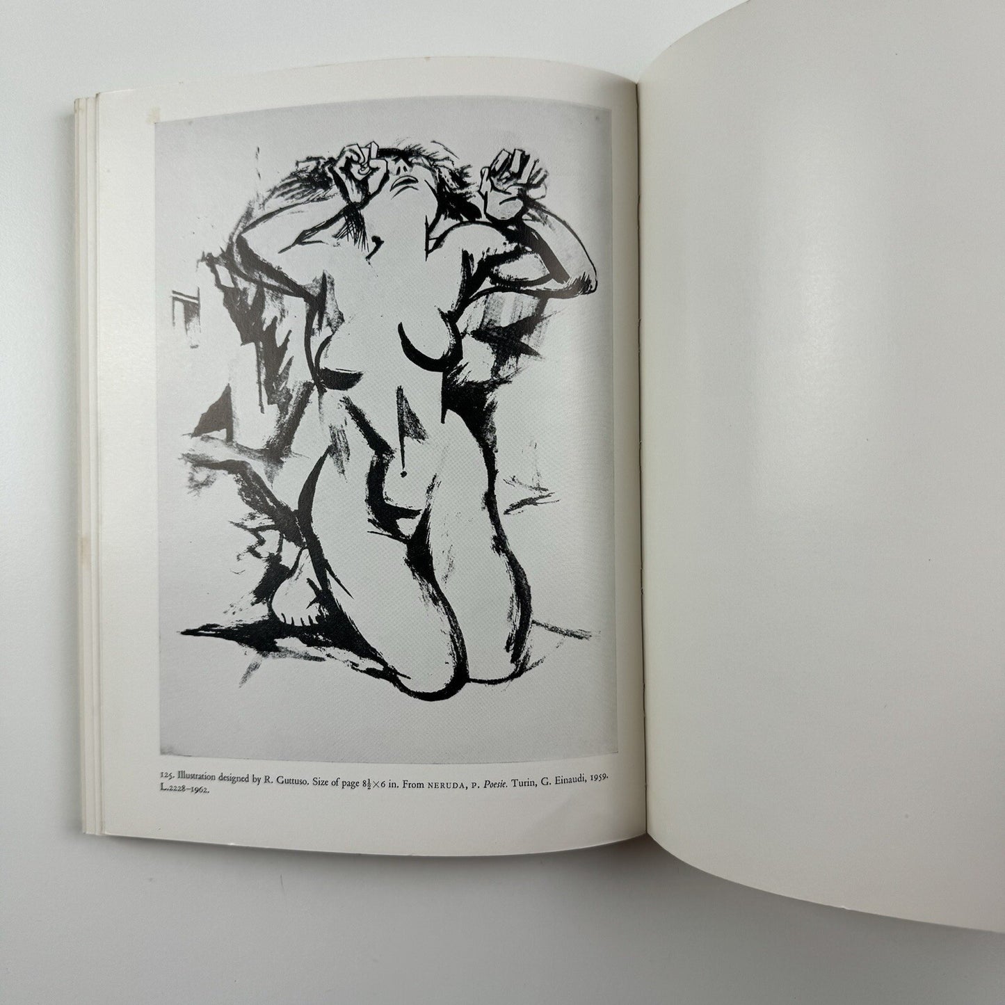 Fine Illustrations in Western European Printed Books by T.M. MacRobert | V&A, 1969