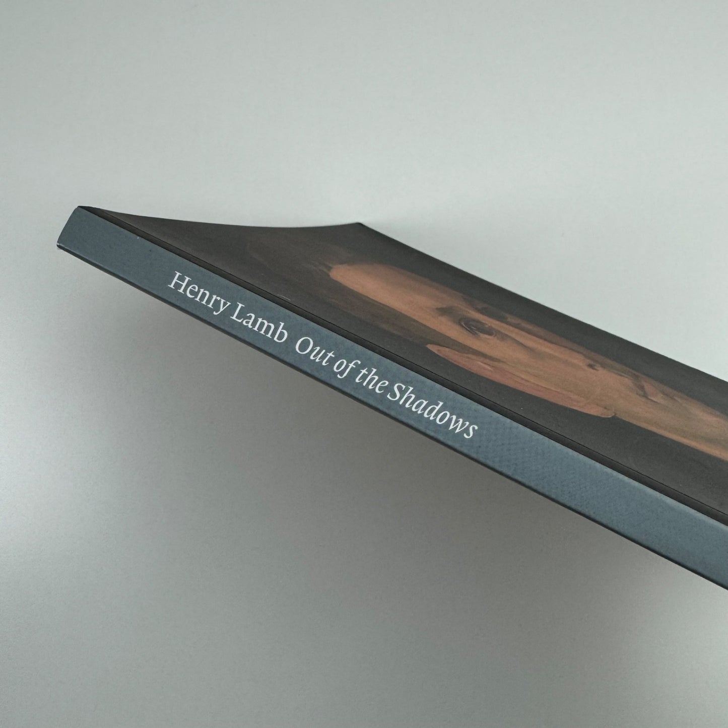 Henry Lamb Out of the Shadows by Harry Moore-Gwyn Paul Holberton Publishing, 2018