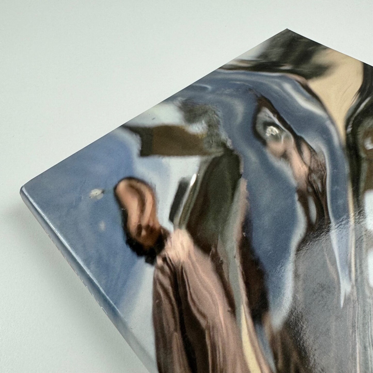 The New Suyuan Stone Catalogue. Zhan Wang | Edizioni Charta, 2011