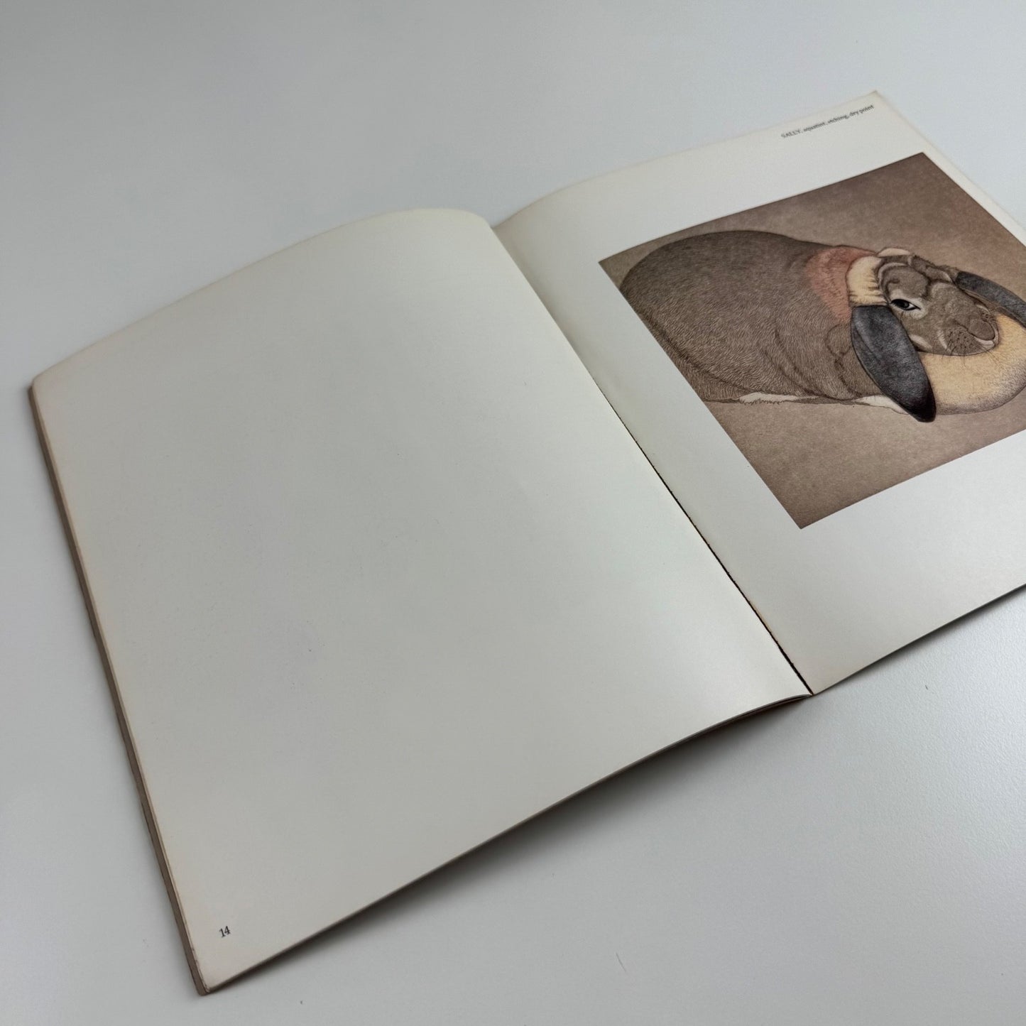 Beth Van Hoesen. Prints drawings watercolours | Oakland Museum Art Dept 1980