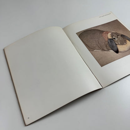 Beth Van Hoesen. Prints drawings watercolours | Oakland Museum Art Dept 1980