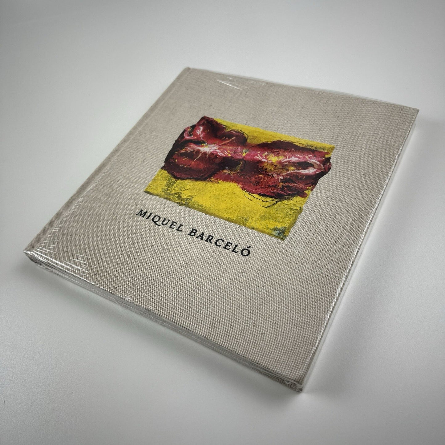 Miquel Barceló. Recent paintings, ceramics and sculpture | Ben Brown Fine Arts Hong Kong catalogue, 2011