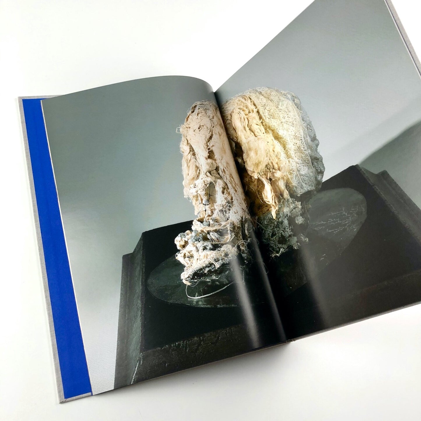 Steve Goddard: One God To Many Devils | FAS Contemporary catalogue, 2011