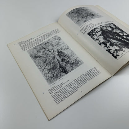 John Piper and English Neo-Romanticism | National Museum of Wales catalogue, 1982