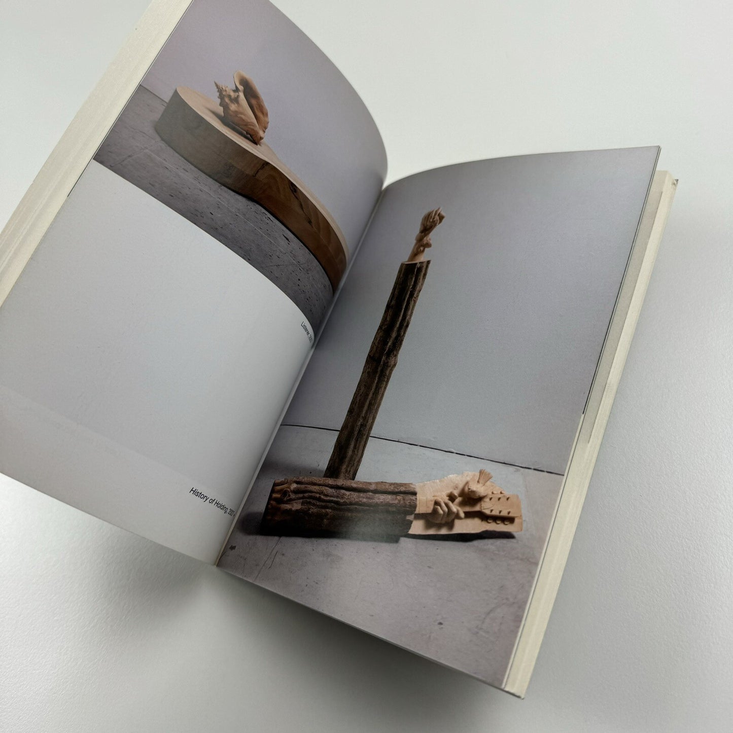 Ricky Swallow. Younger Than Yesterday | Kunsthalle Wien 2007 catalogue