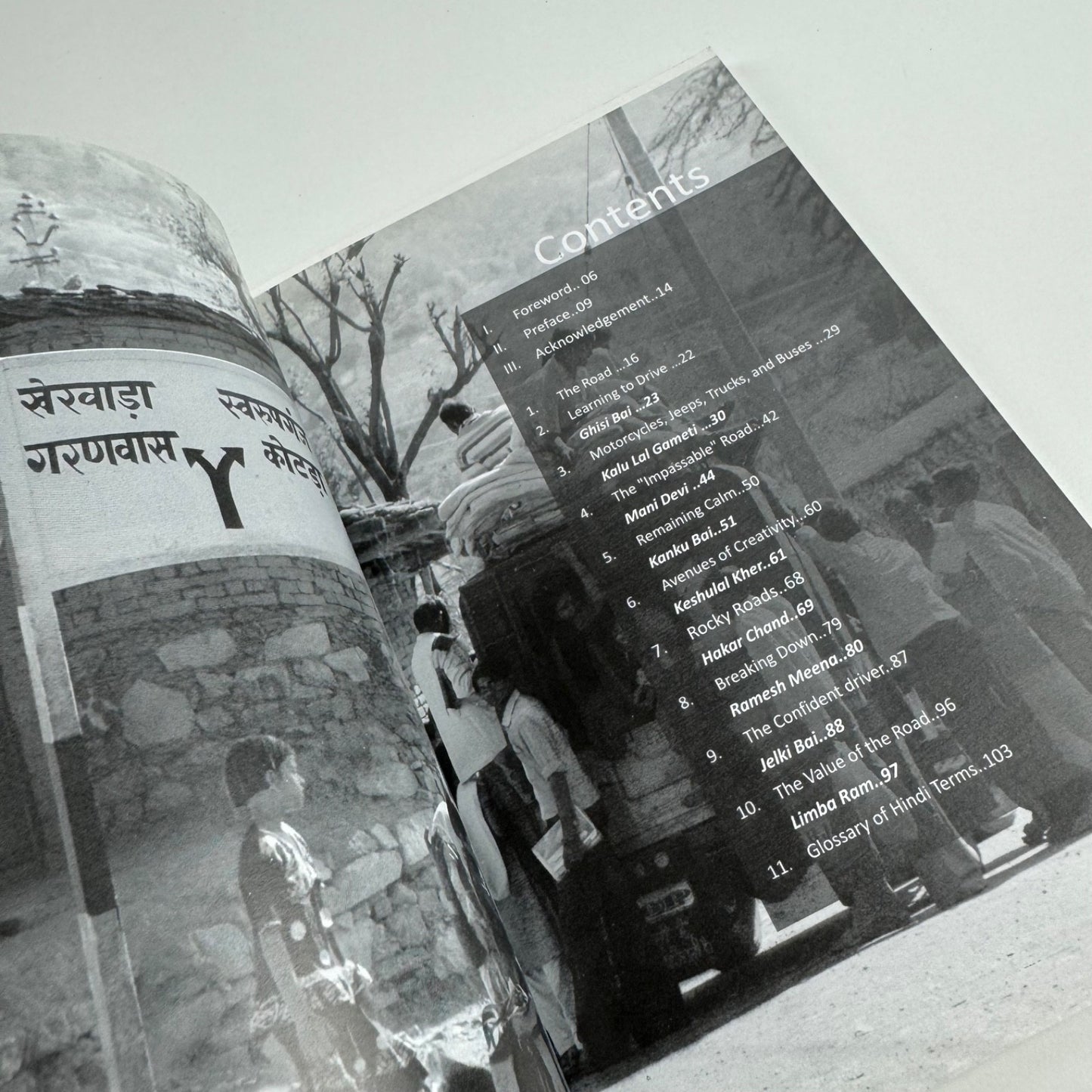 Silver Fodder Firouz Ardalan | Seva Mandir, 2012