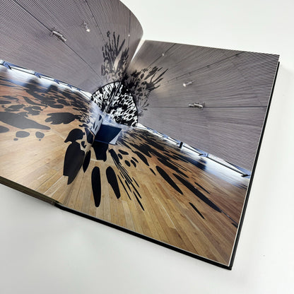 Regina Silveira | Text by Luciana Brito, Adolfo Montejo Navas et al | Charta, 2011