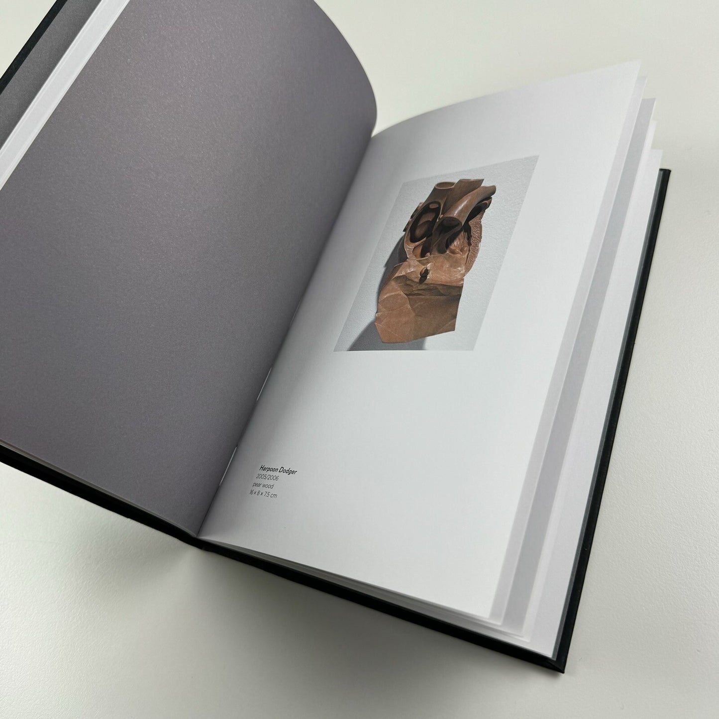 Ricky Swallow | Douglas Hyde Gallery Dublin, 2007 exhibition catalogue