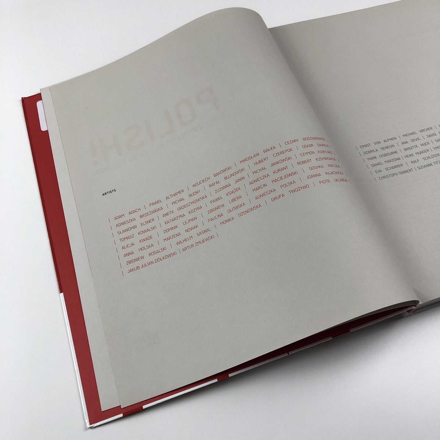 Contemporary Art from Poland | Hatje Cantz, 2011