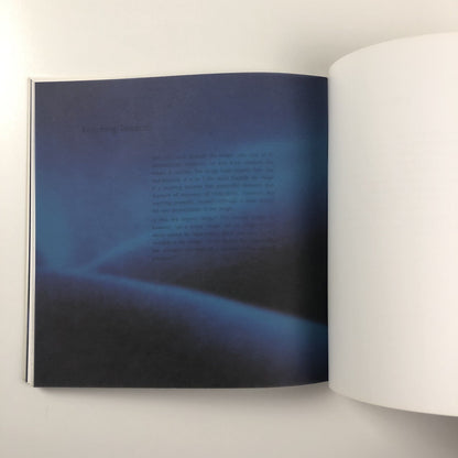 Fall. Monica Ross | Chapter, Wales 1994 exhibition catalogue