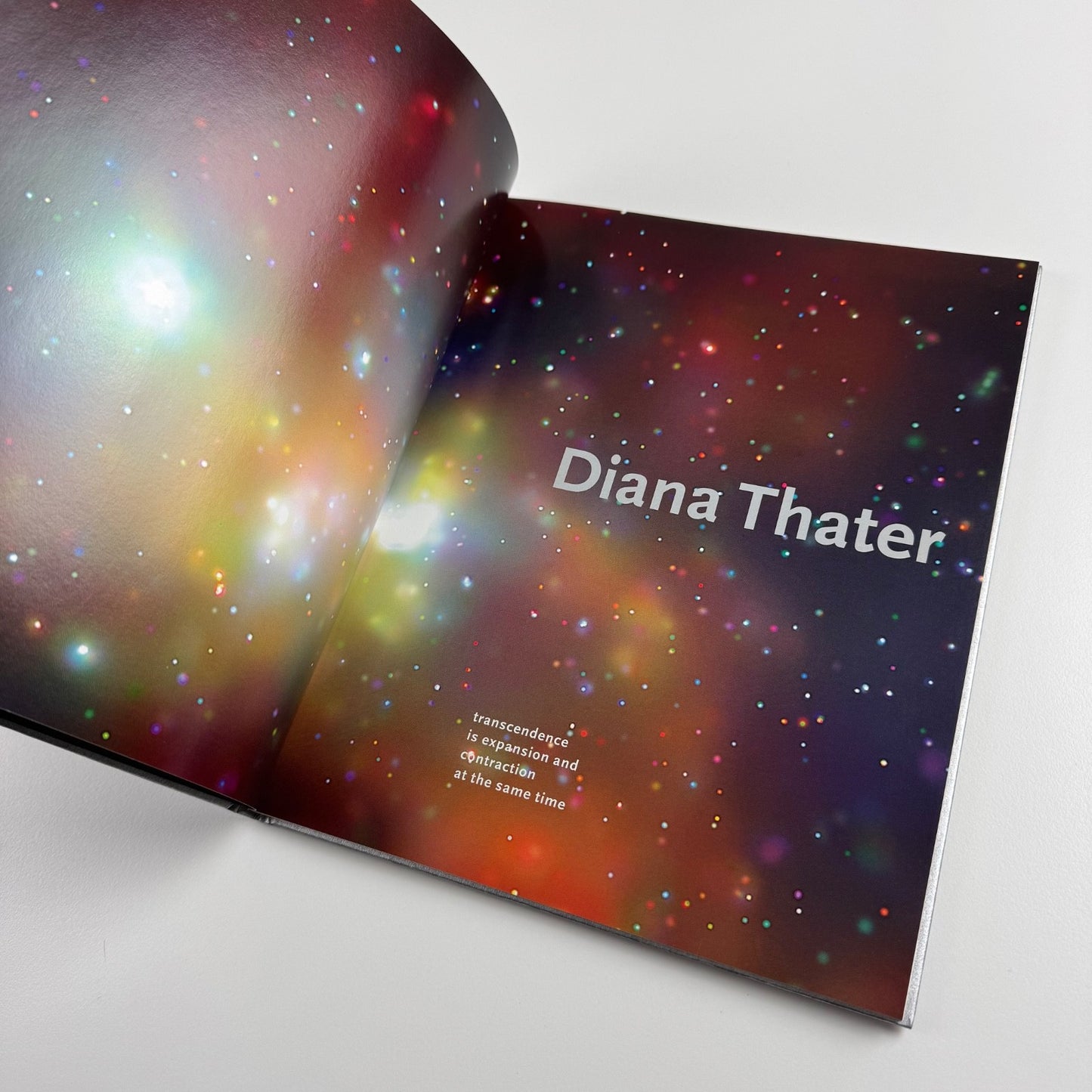 Diana Thater. Transcendence is expansion and contraction at the same time | Haunch of Venison, 2003