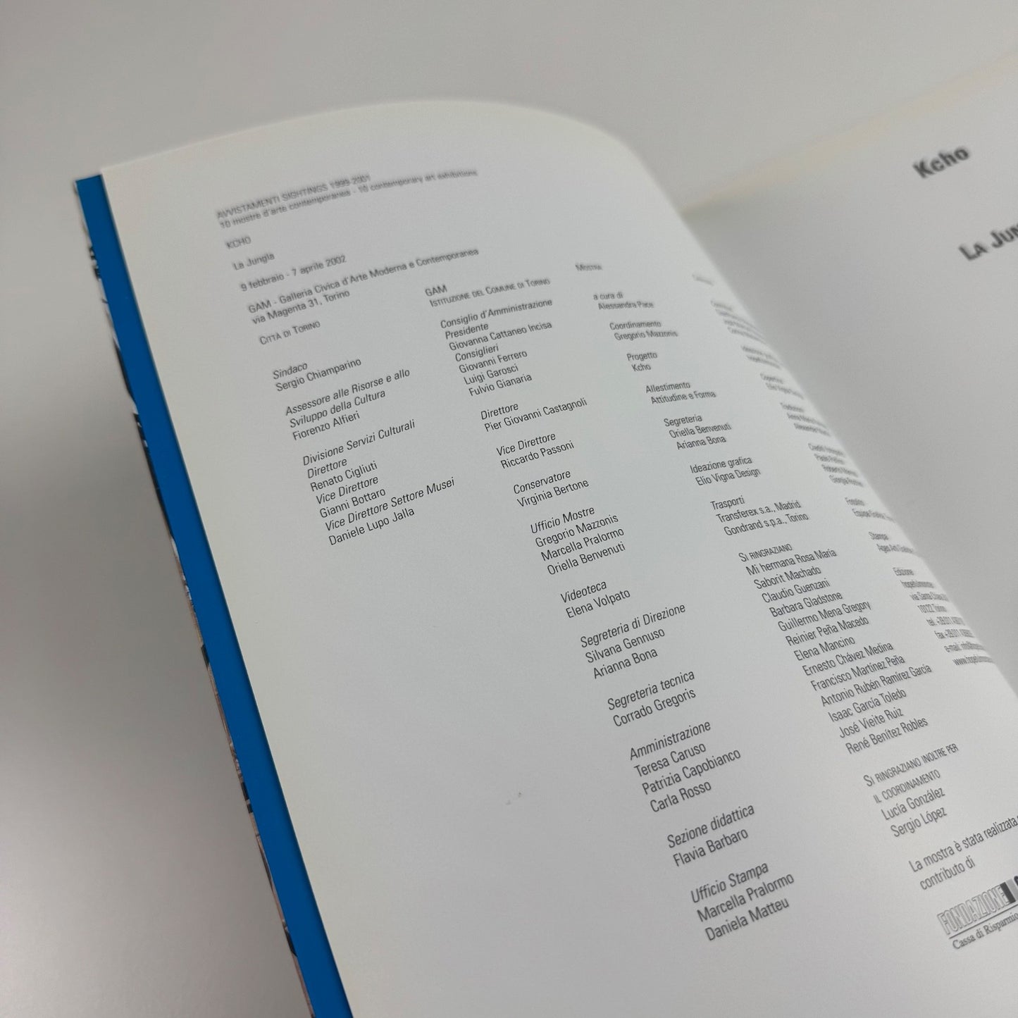 Kcho. La Jungla | GAM Torino, 2002