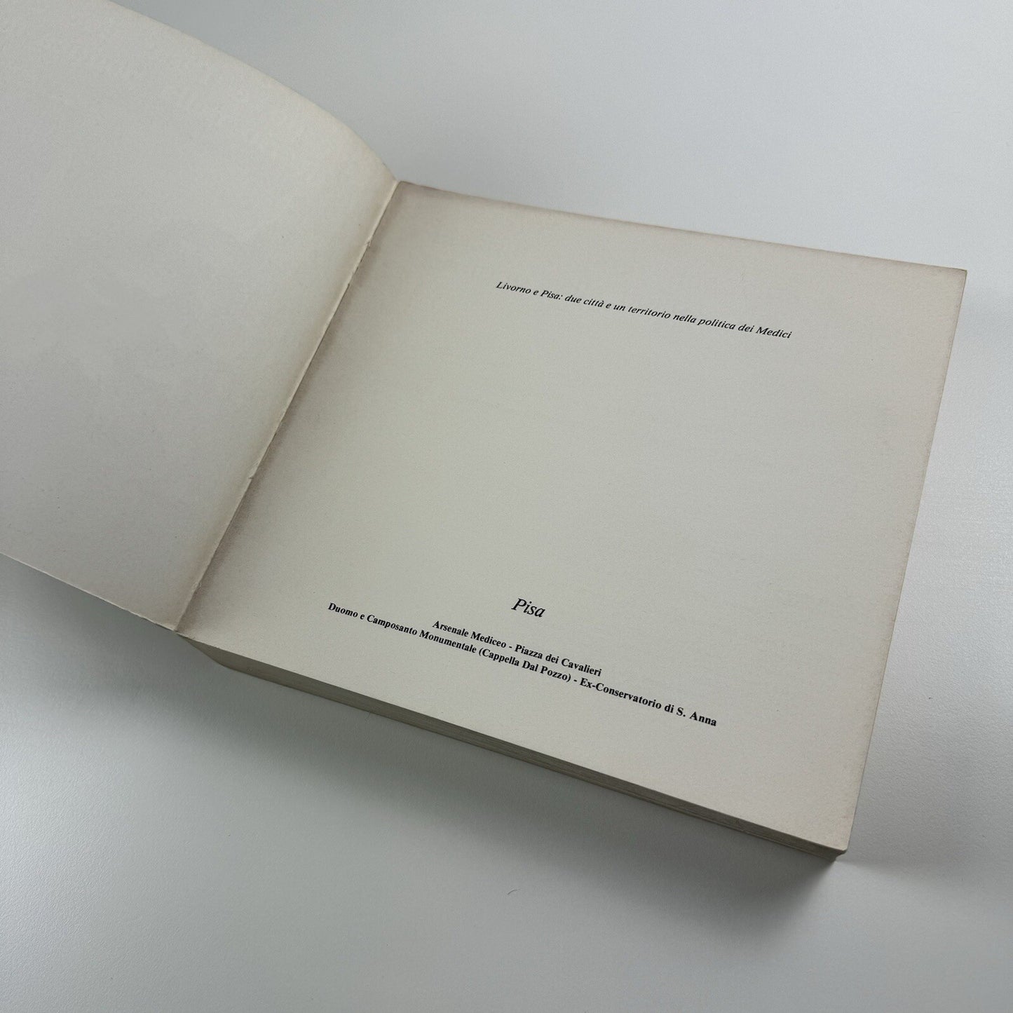 Livorno e Pisa: due città e un territorio nella politica dei Medici | Nistri-Lischi e Pacini, 1980