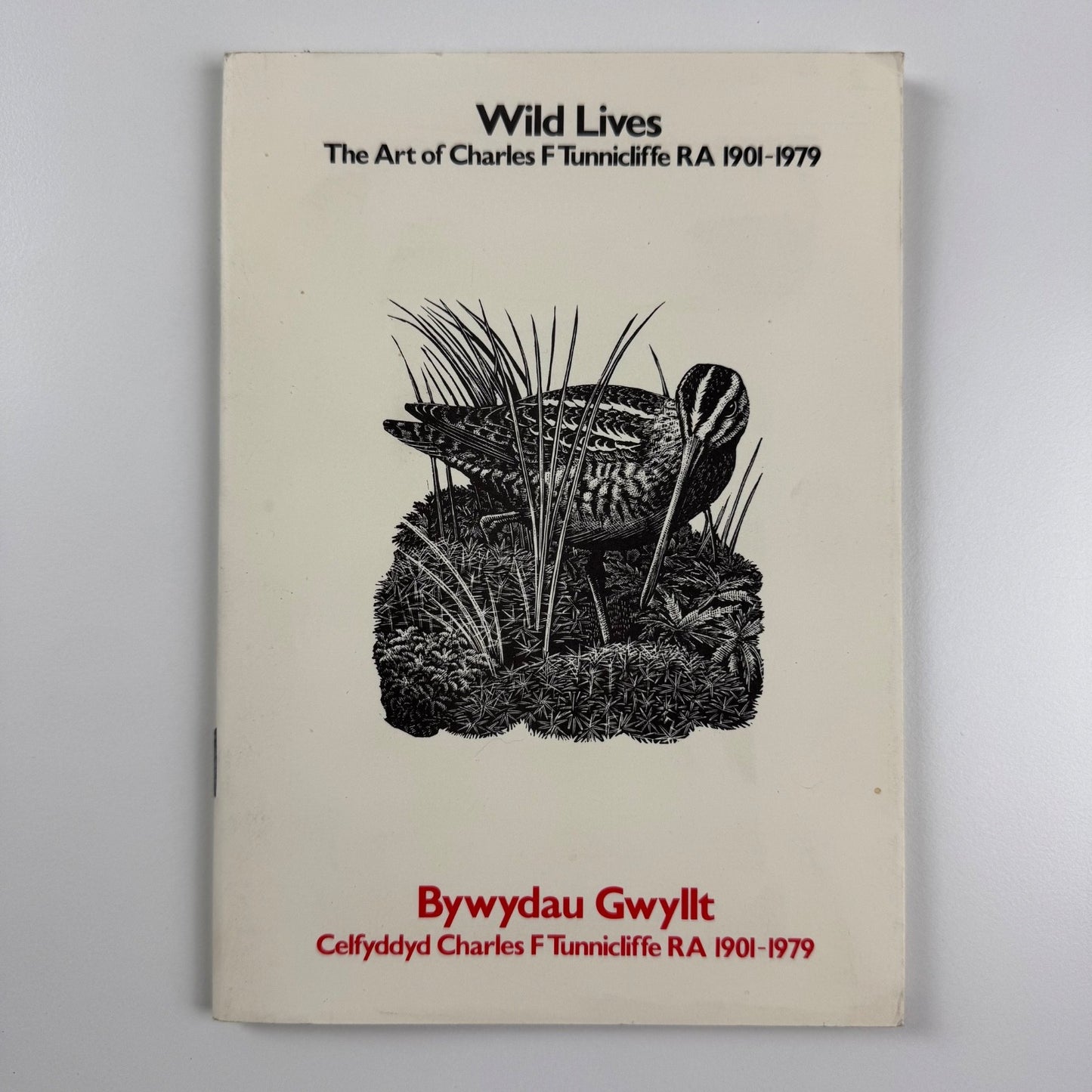 Wild Lives. The Art of Charles F Tunnicliffe | Mostyn Art Gallery, 1980