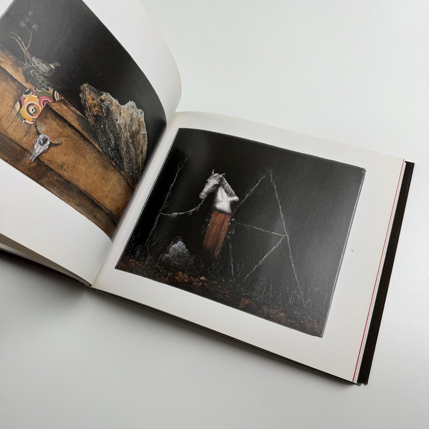 Anj Smith: Paintings | Anj Smith & Barry Schwabsky | Nyehaus and Foundation 20 21, 2007