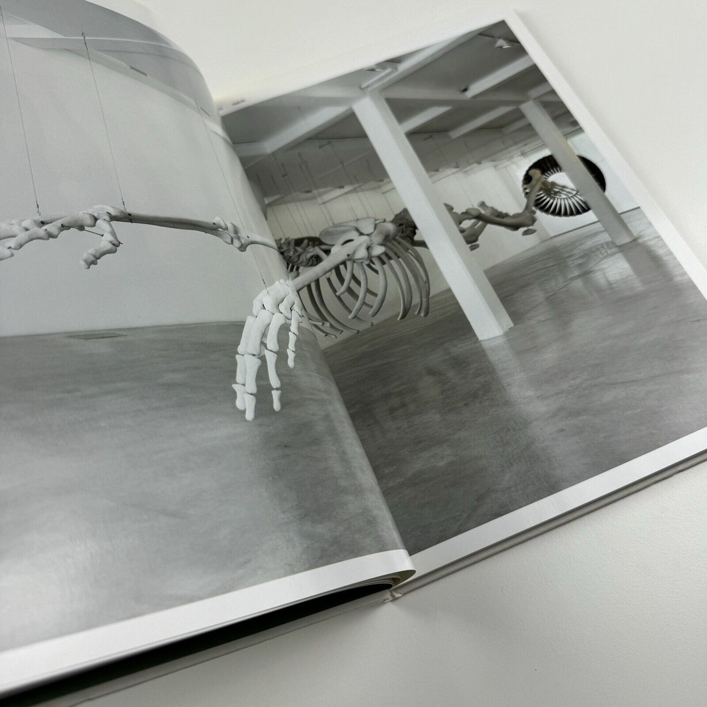 Adel Abdessemed Silent Warriors | Parasol unit and Koenig Books, 2010 | edited by Ziba Ardalan