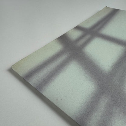 Brad Lochore. Paintings | Angel Row Gallery / Victoria Miro Gallery, 1998