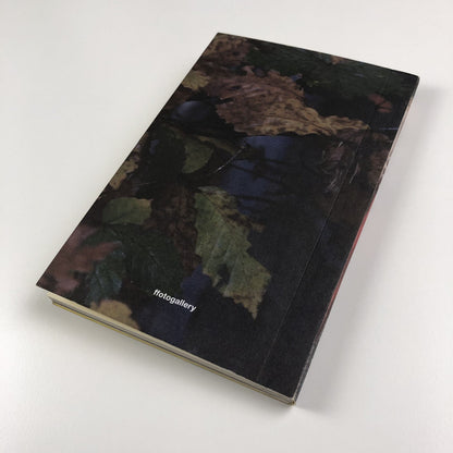 Helen Sear ... the rest is smoke | Wales in Venice biennale catalogue, 2015